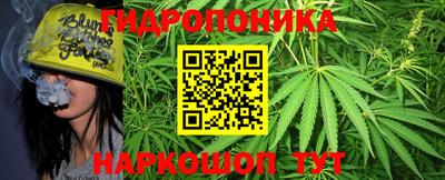 крисы Нижний Тагил