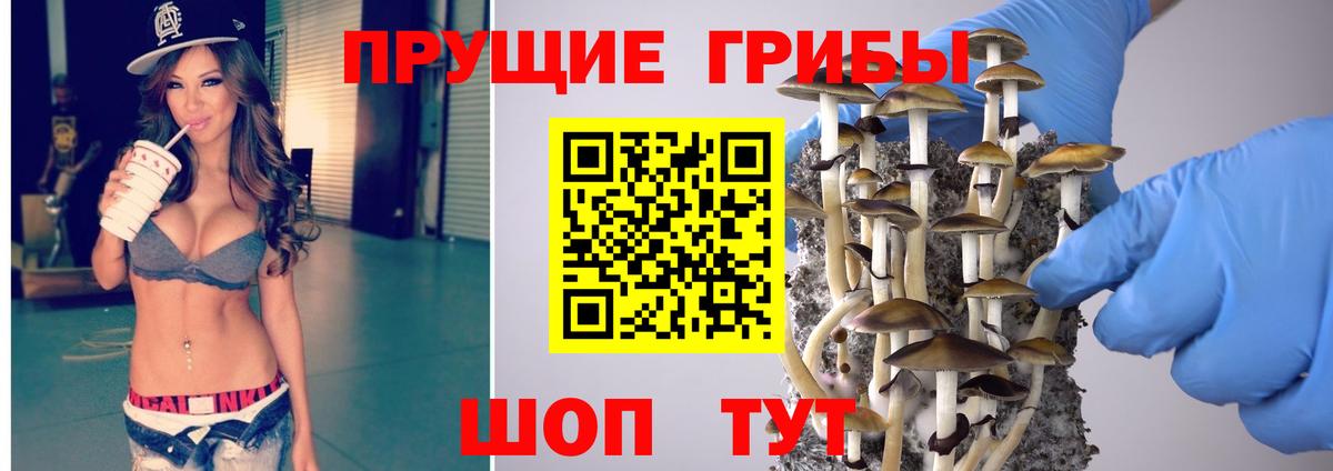 Псилоцибиновые грибы MAGIC MUSHROOMS  Вход с VPN  Черняховск  Псилоцибиновые грибы мицелий 